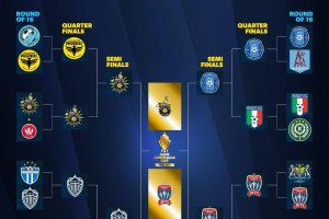 开云体育官网-没想到吧？澳足总决赛对阵：黑德堡vs纽卡斯尔喷气机